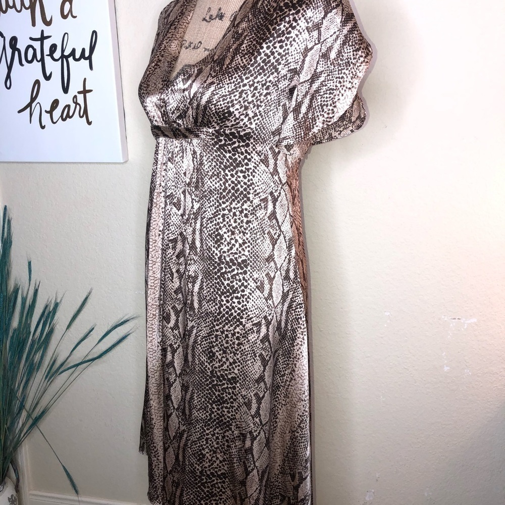 Calypso Christians Celle Snakeskin Print Dress 100% Silk High Lo Style Size XS